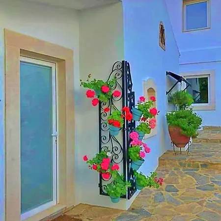 Bed & Breakfast Buganvilia - Quinta Casalinho Da Azenha *