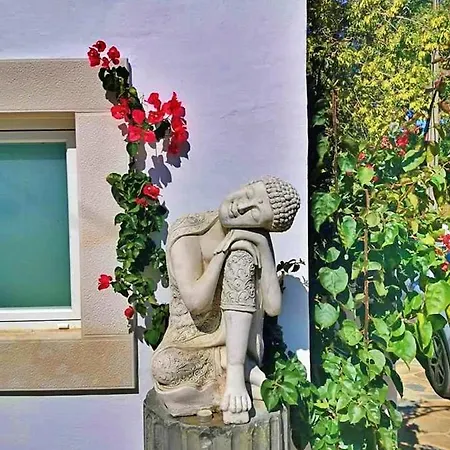 Buganvilia - Quinta Casalinho Da Azenha *
