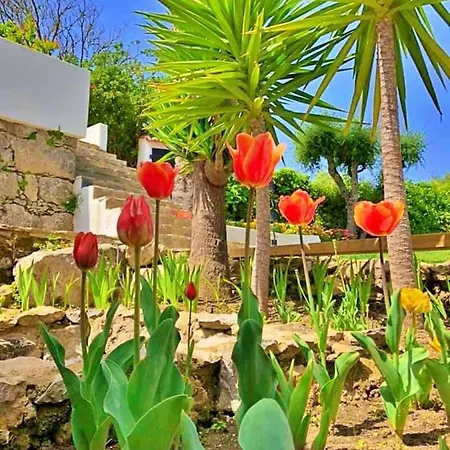 Buganvilia - Quinta Casalinho Da Azenha Bed & Breakfast *